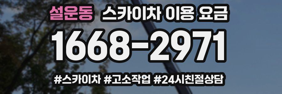 설운동 스카이차 이용 요금