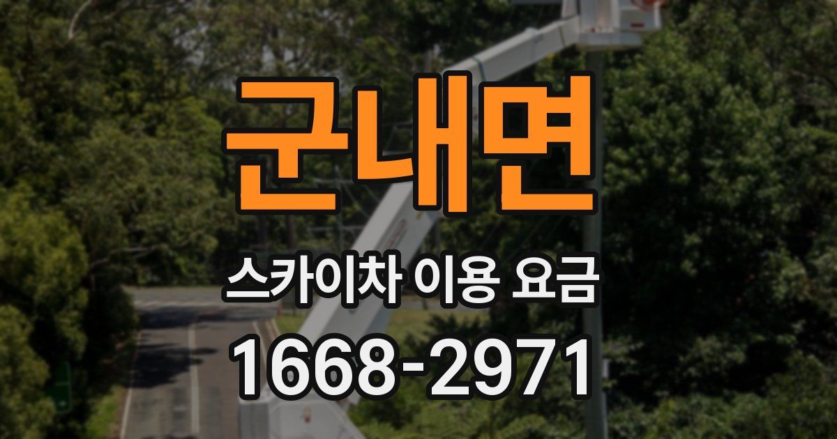 군내면 스카이차 이용 요금