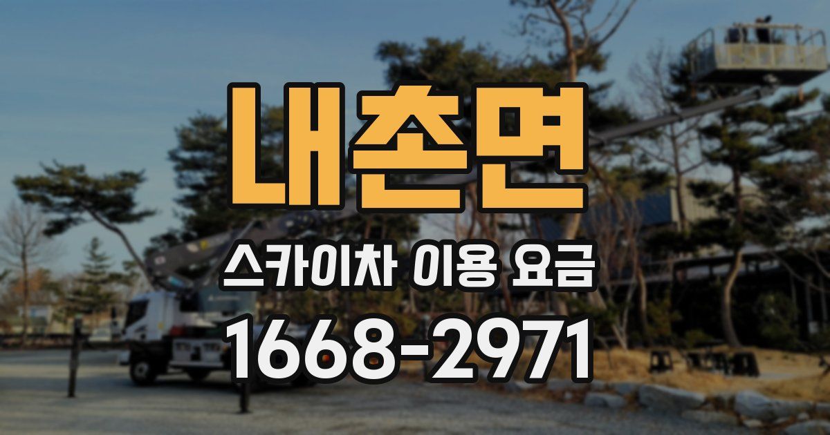 내촌면 스카이차 이용 요금