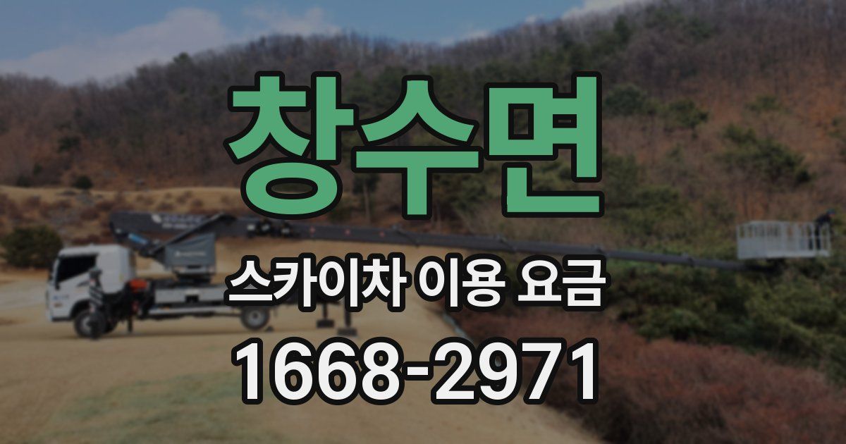 창수면 스카이차 이용 요금