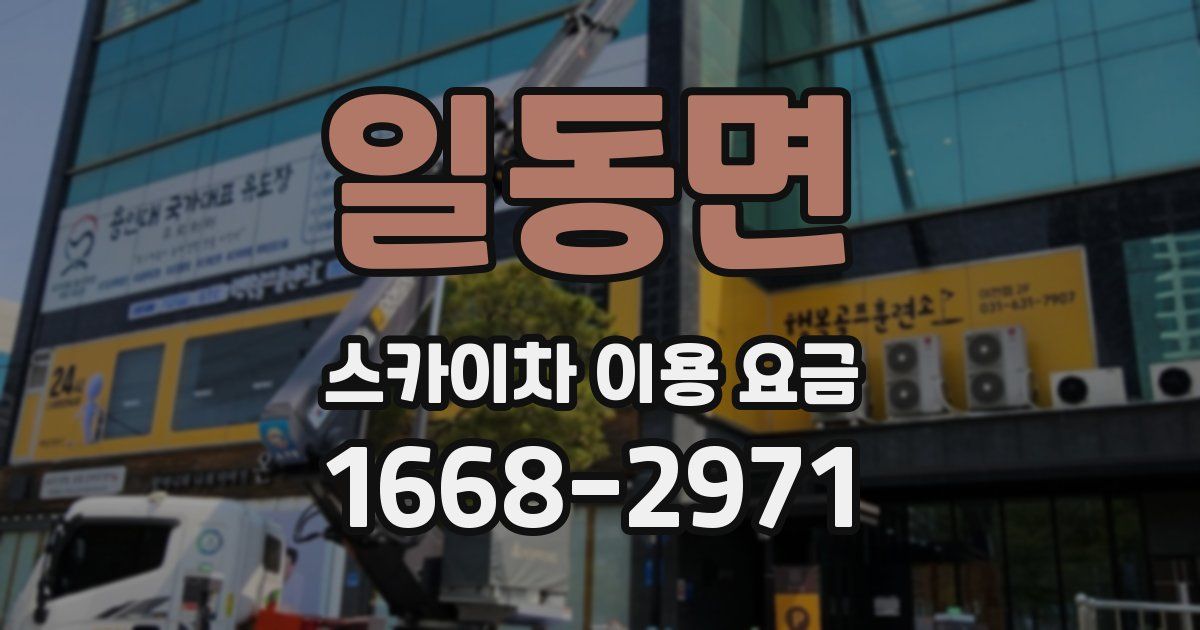 일동면 스카이차 이용 요금