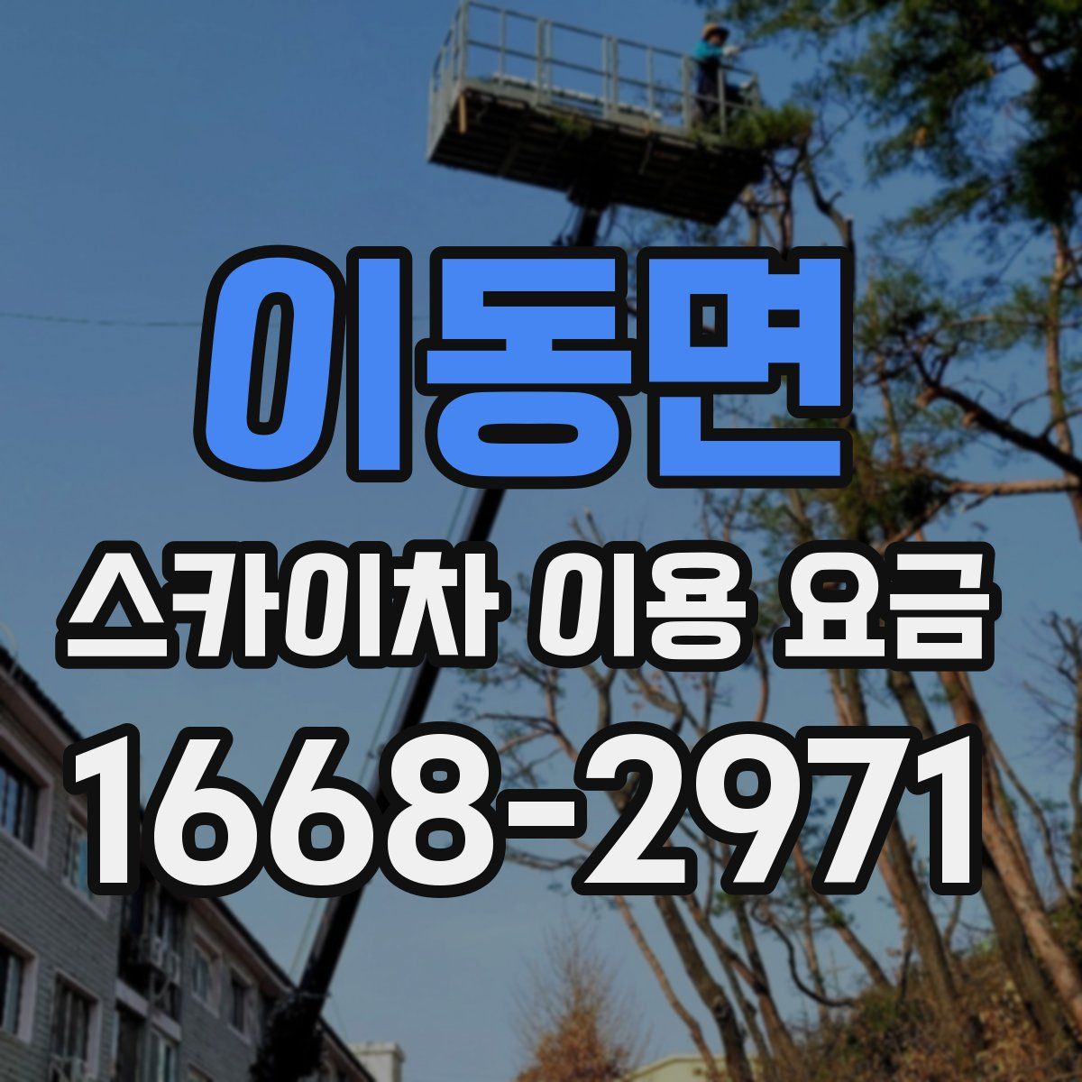 이동면 스카이차 이용 요금