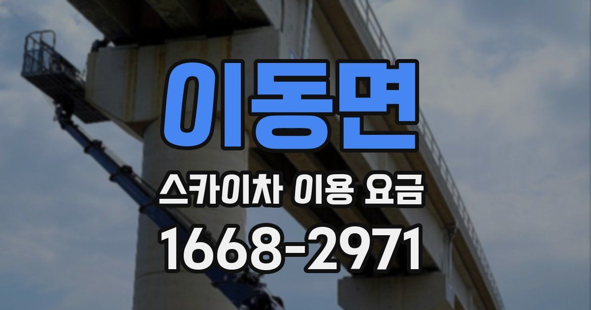 이동면 스카이차 이용 요금