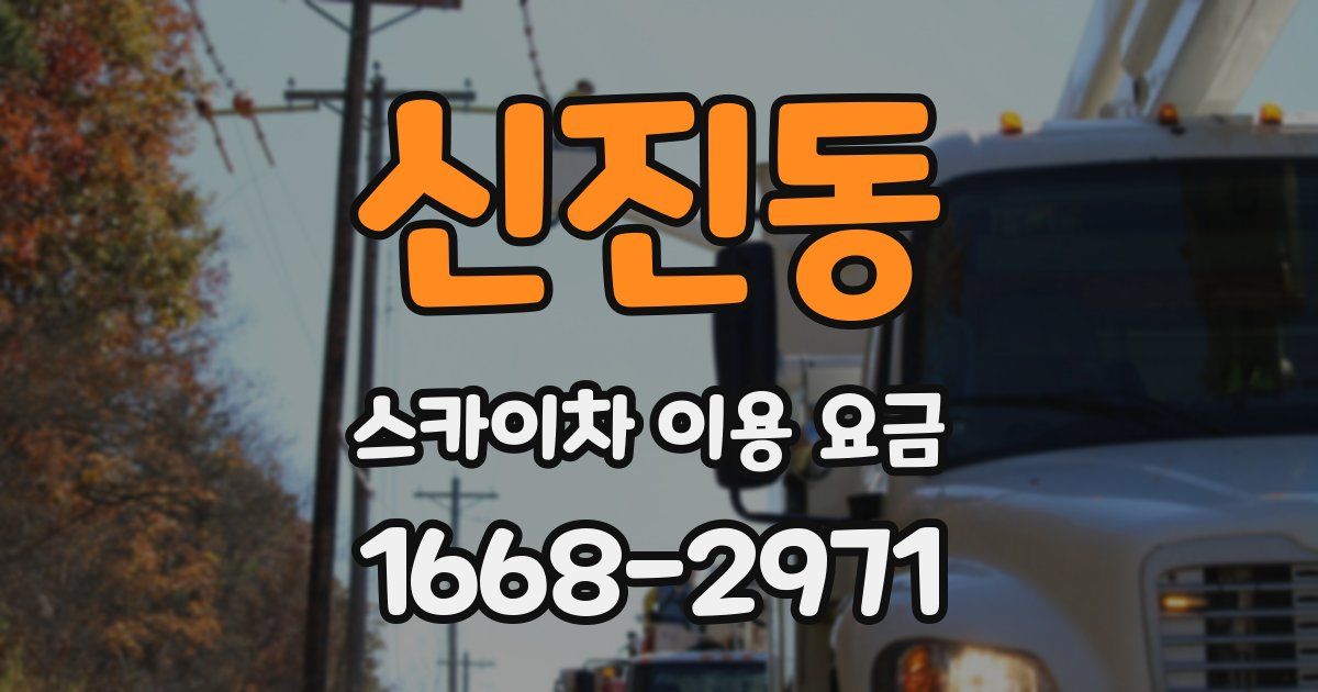 신진동 스카이차 이용 요금