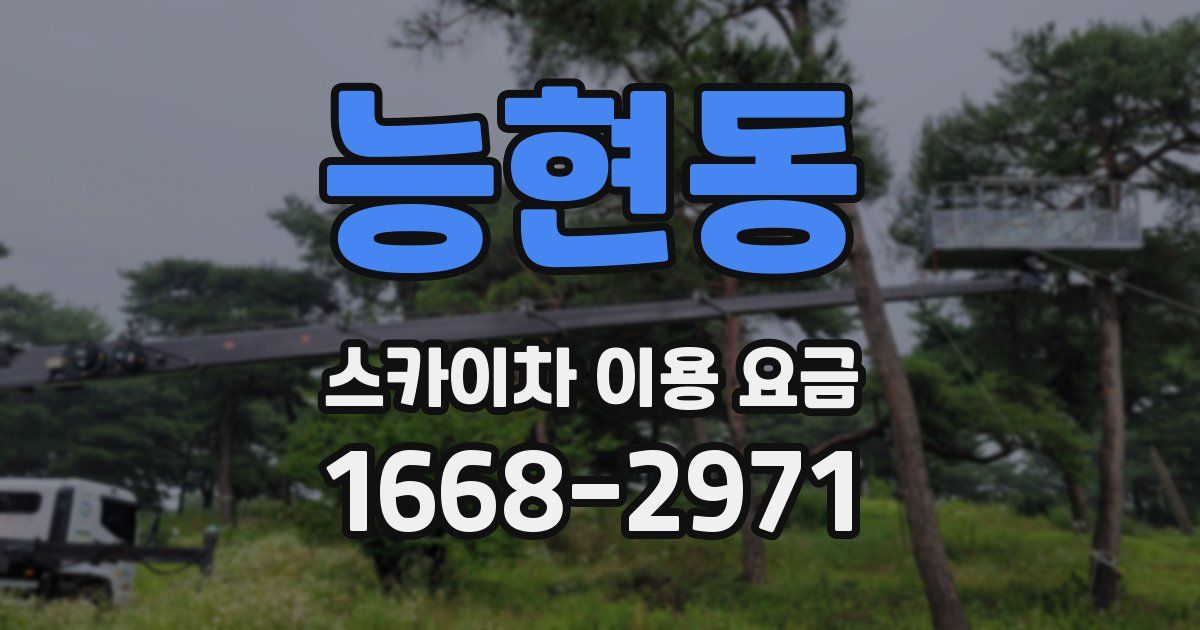 능현동 스카이차 이용 요금