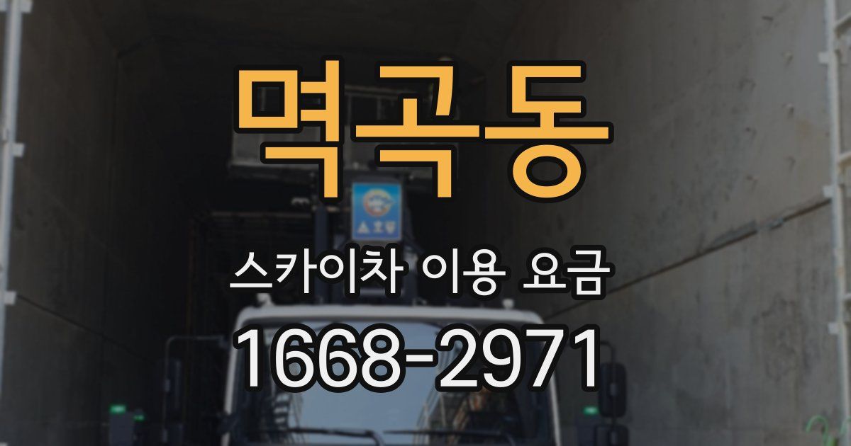 멱곡동 스카이차 이용 요금