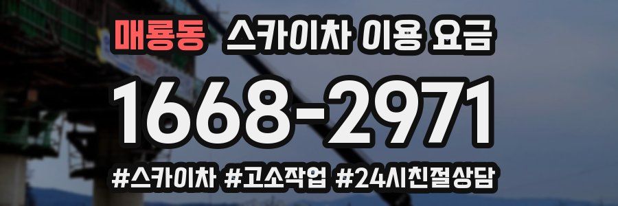매룡동 스카이차 이용 요금