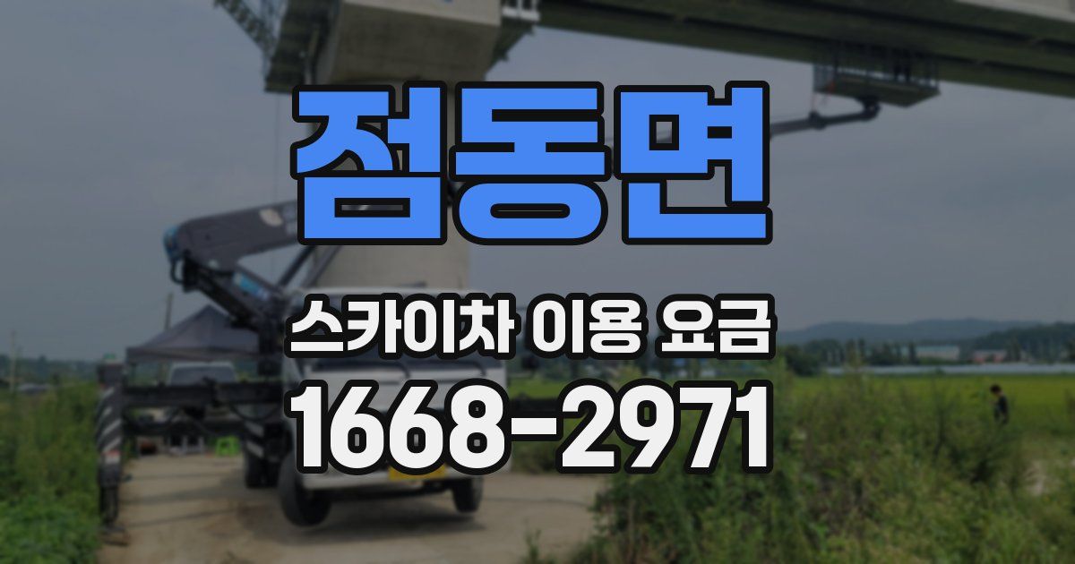 점동면 스카이차 이용 요금