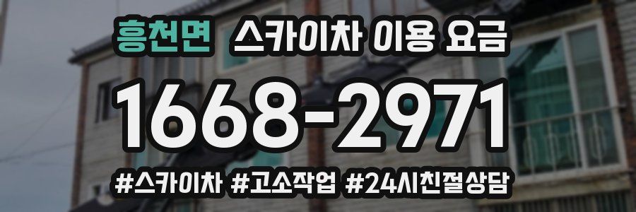 흥천면 스카이차 이용 요금