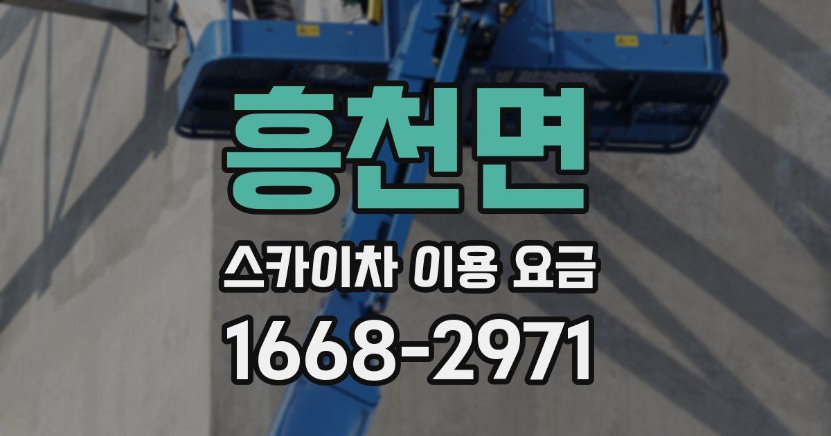 흥천면 스카이차 이용 요금