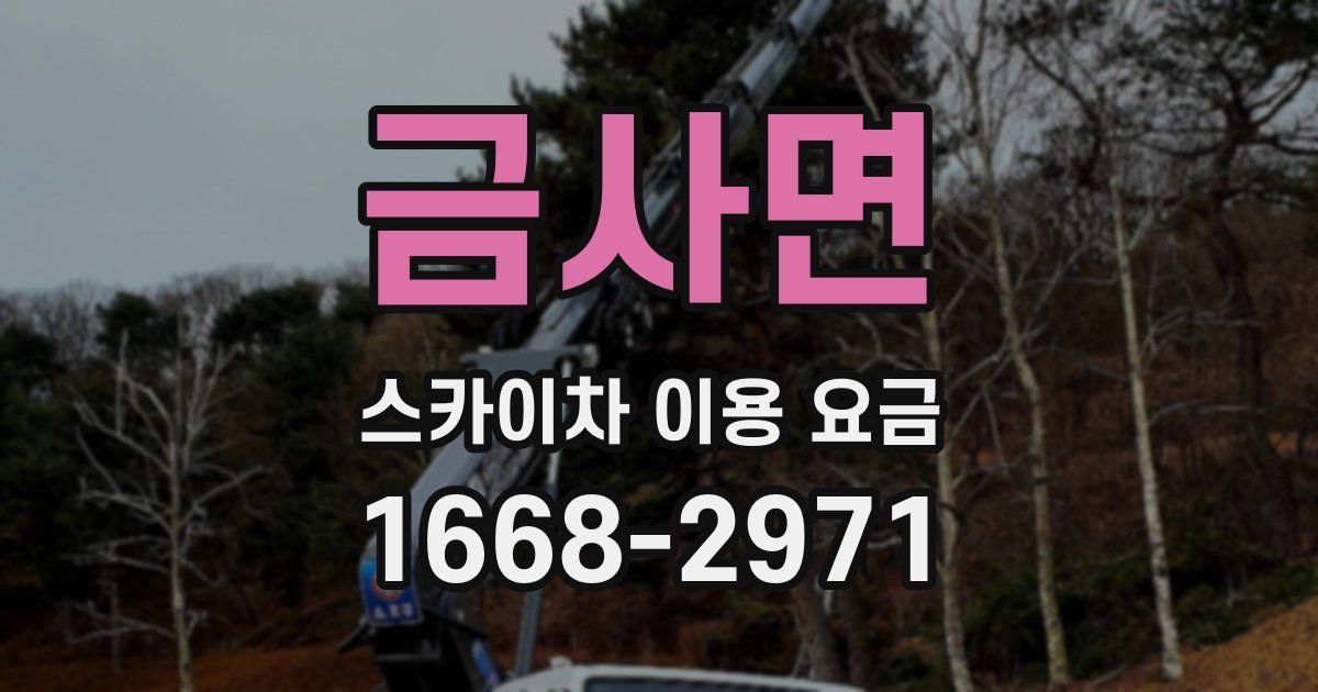 금사면 스카이차 이용 요금