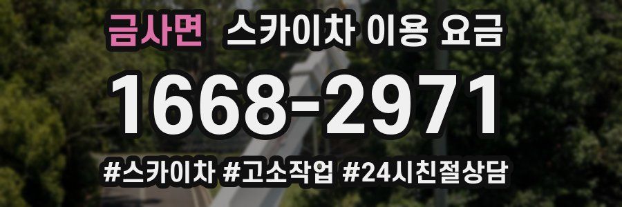 금사면 스카이차 이용 요금