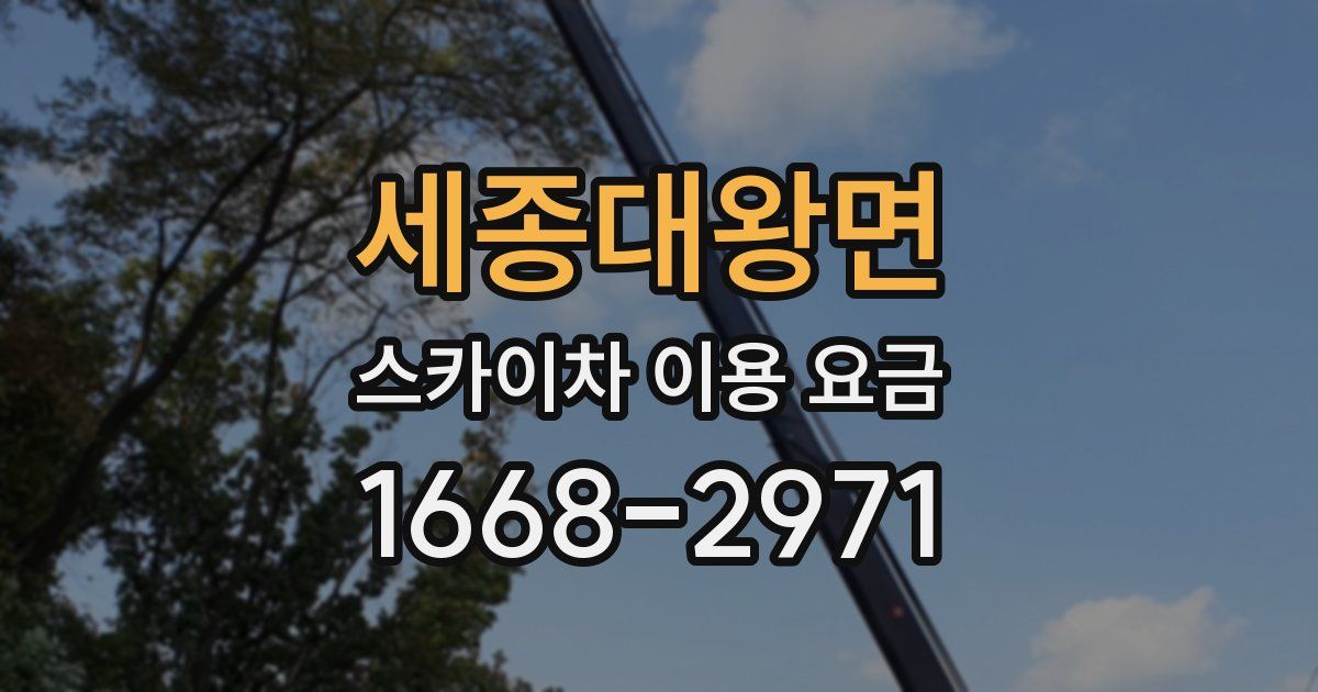 세종대왕면 스카이차 이용 요금