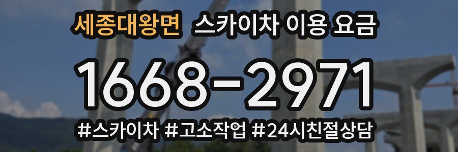세종대왕면 스카이차 이용 요금