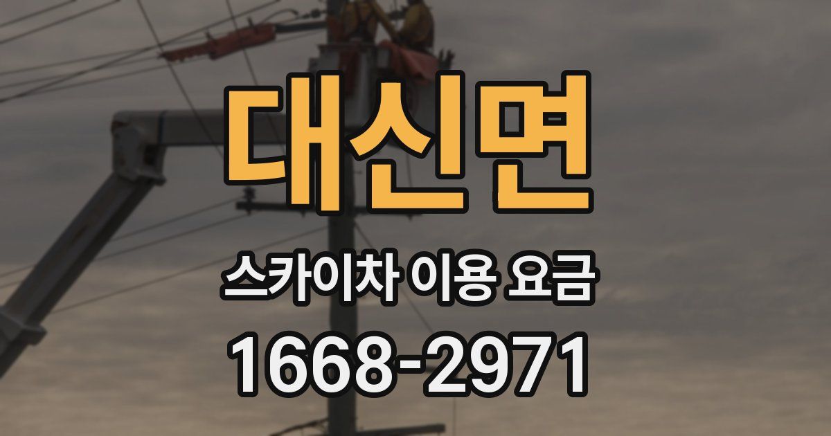 대신면 스카이차 이용 요금