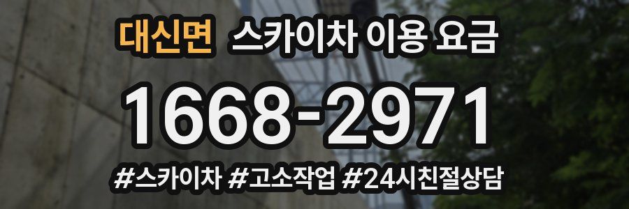 대신면 스카이차 이용 요금