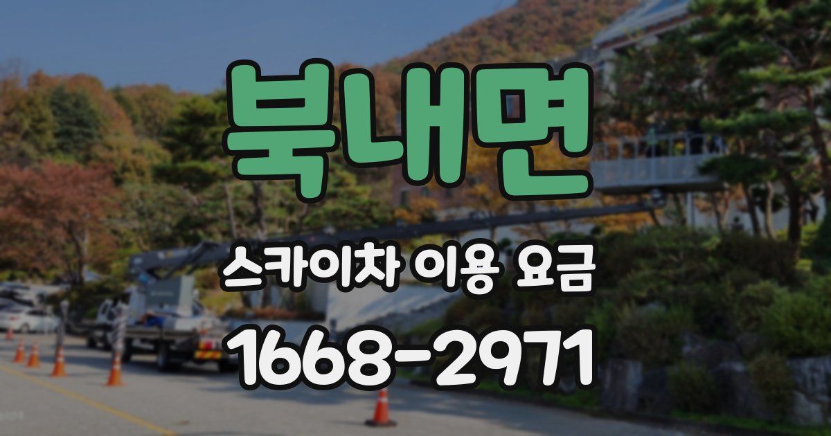 북내면 스카이차 이용 요금
