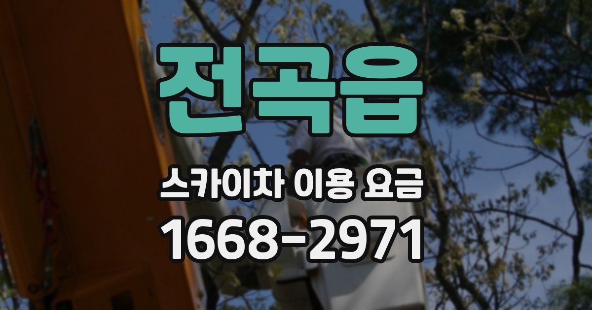전곡읍 스카이차 이용 요금