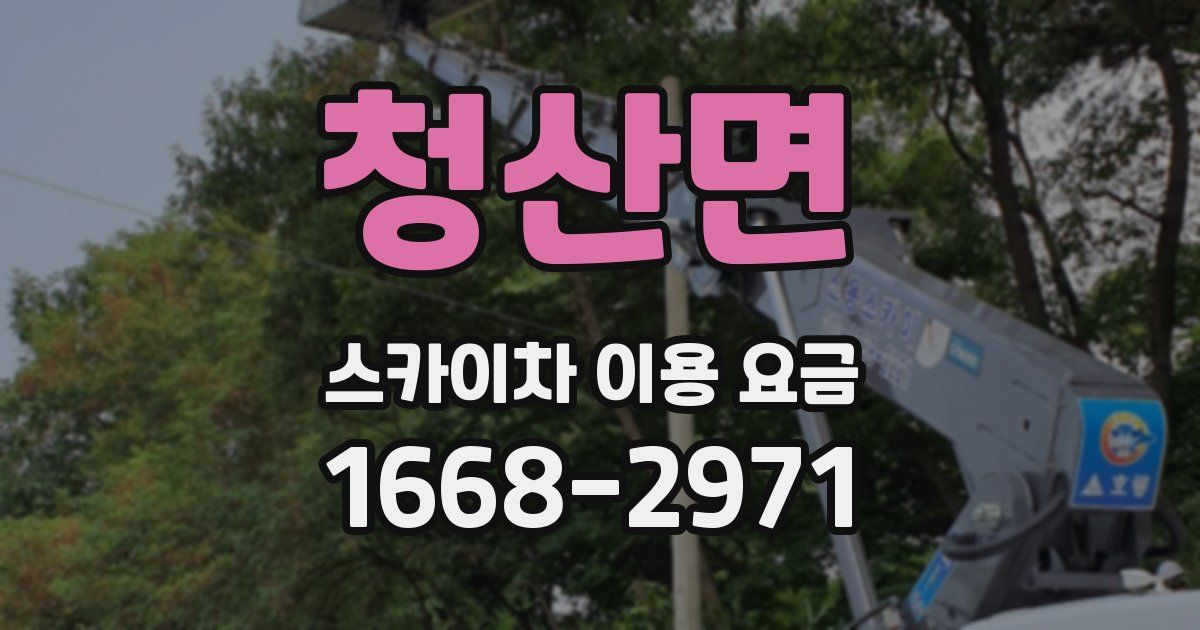 청산면 스카이차 이용 요금