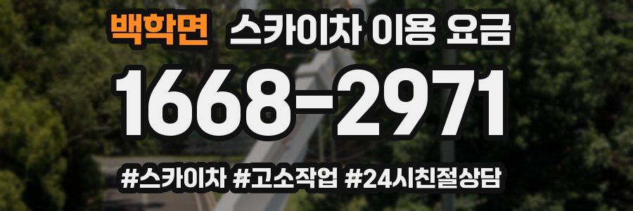 백학면 스카이차 이용 요금
