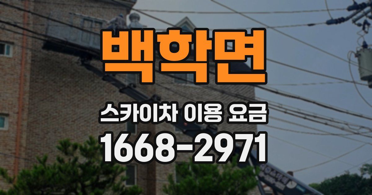 백학면 스카이차 이용 요금