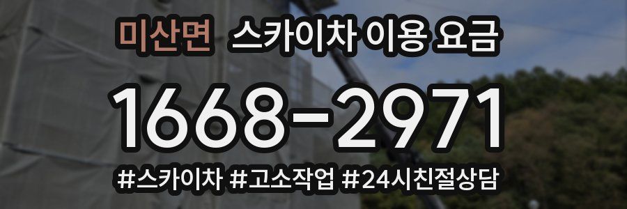 미산면 스카이차 이용 요금