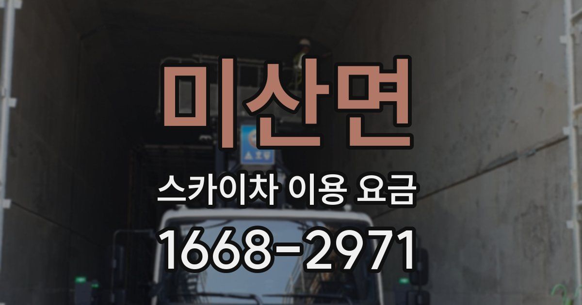 미산면 스카이차 이용 요금