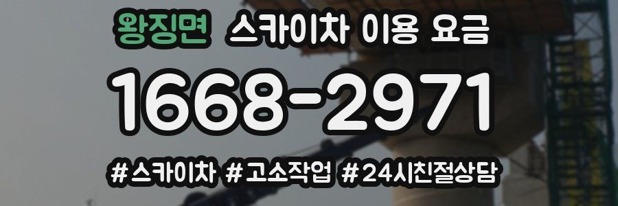 왕징면 스카이차 이용 요금