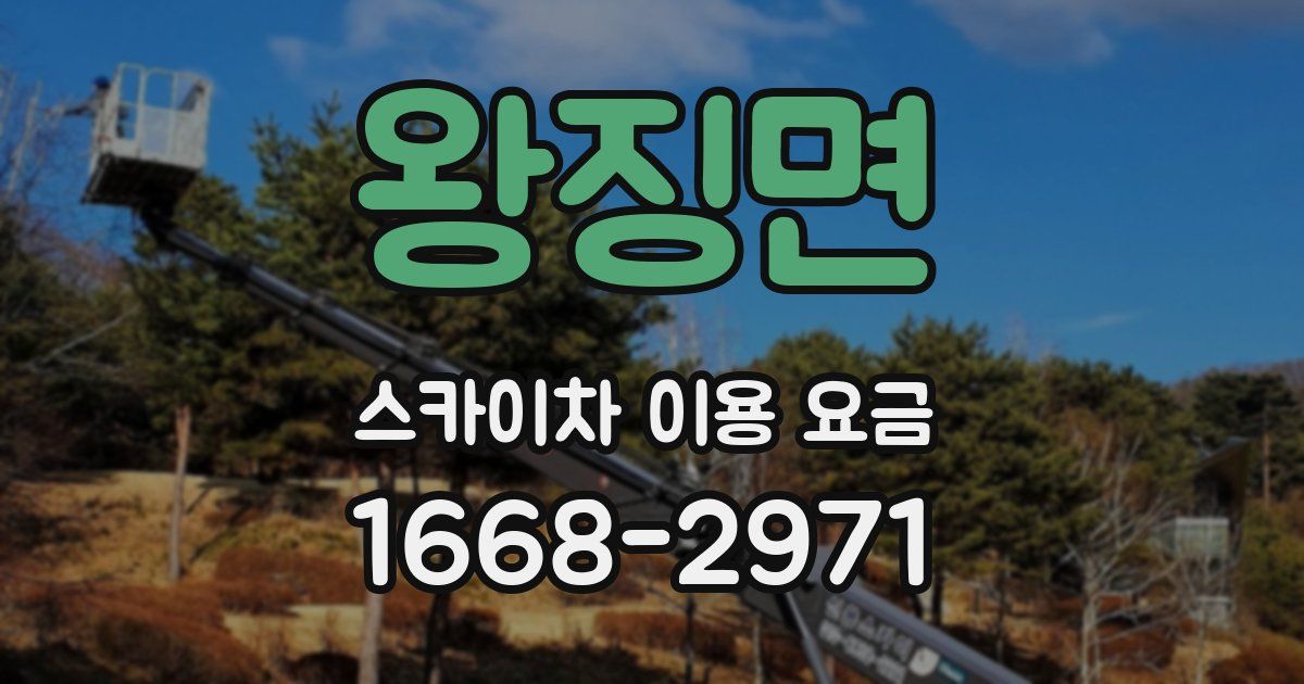 왕징면 스카이차 이용 요금