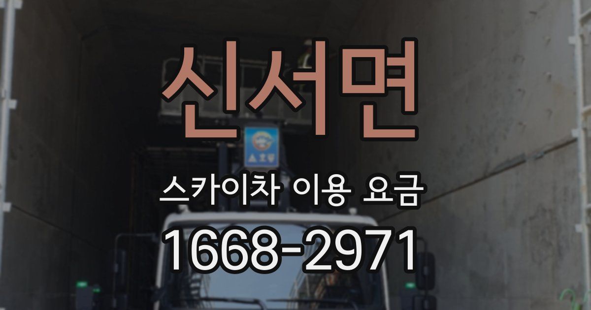 신서면 스카이차 이용 요금
