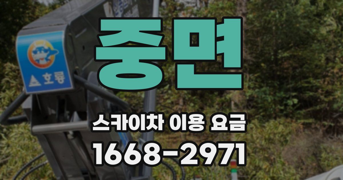 중면 스카이차 이용 요금