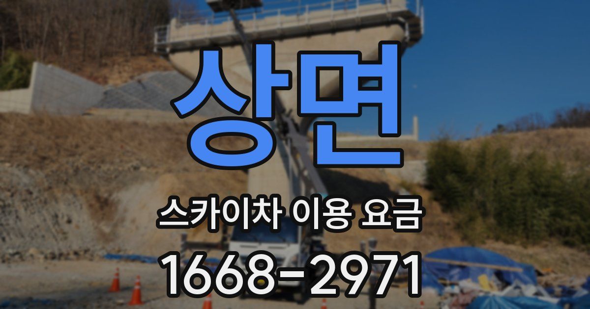 상면 스카이차 이용 요금