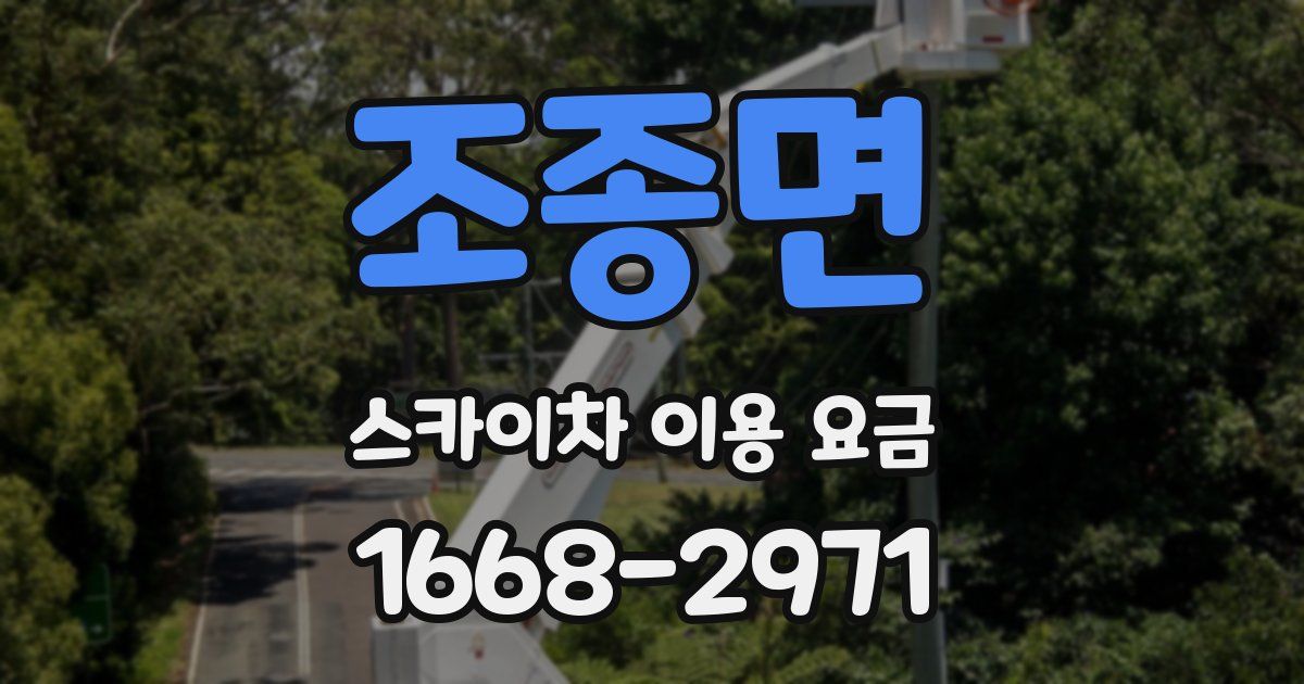 조종면 스카이차 이용 요금