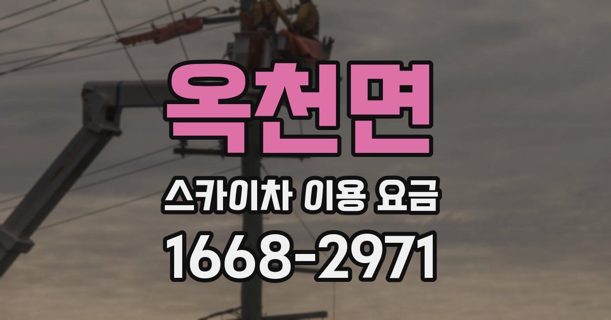 옥천면 스카이차 이용 요금