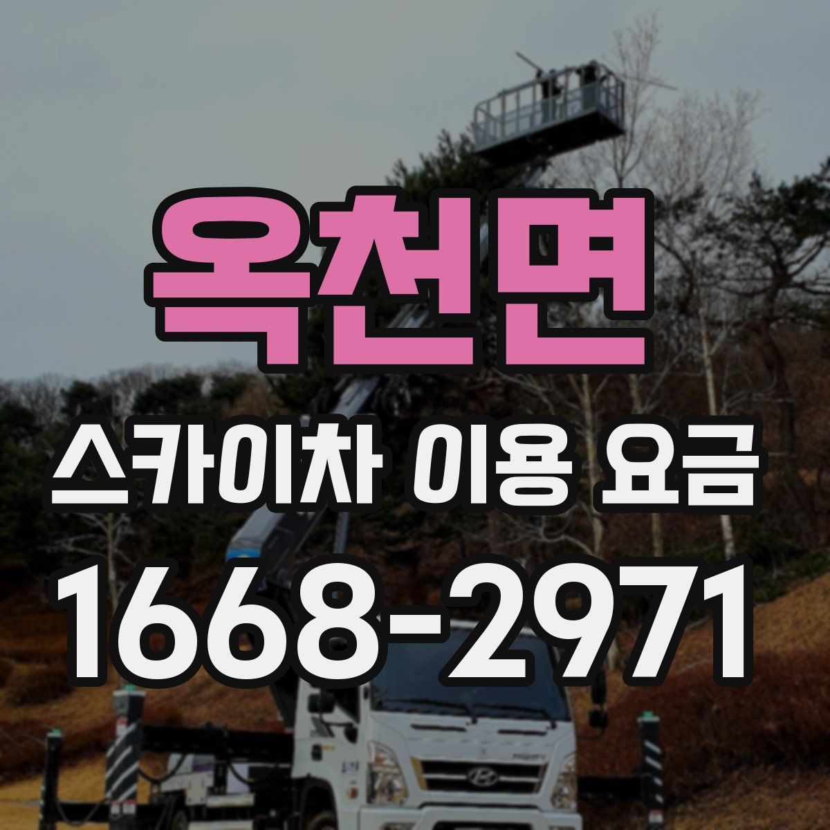 옥천면 스카이차 이용 요금