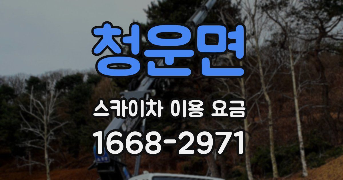청운면 스카이차 이용 요금