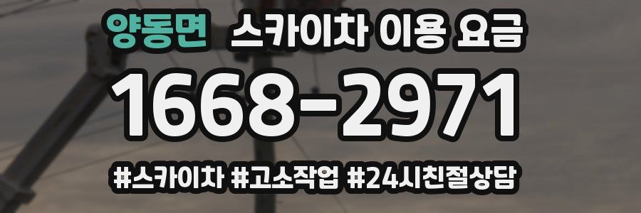 양동면 스카이차 이용 요금