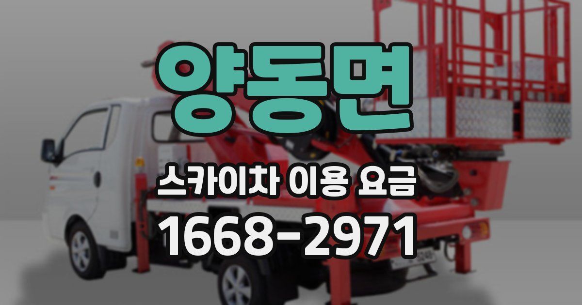 양동면 스카이차 이용 요금
