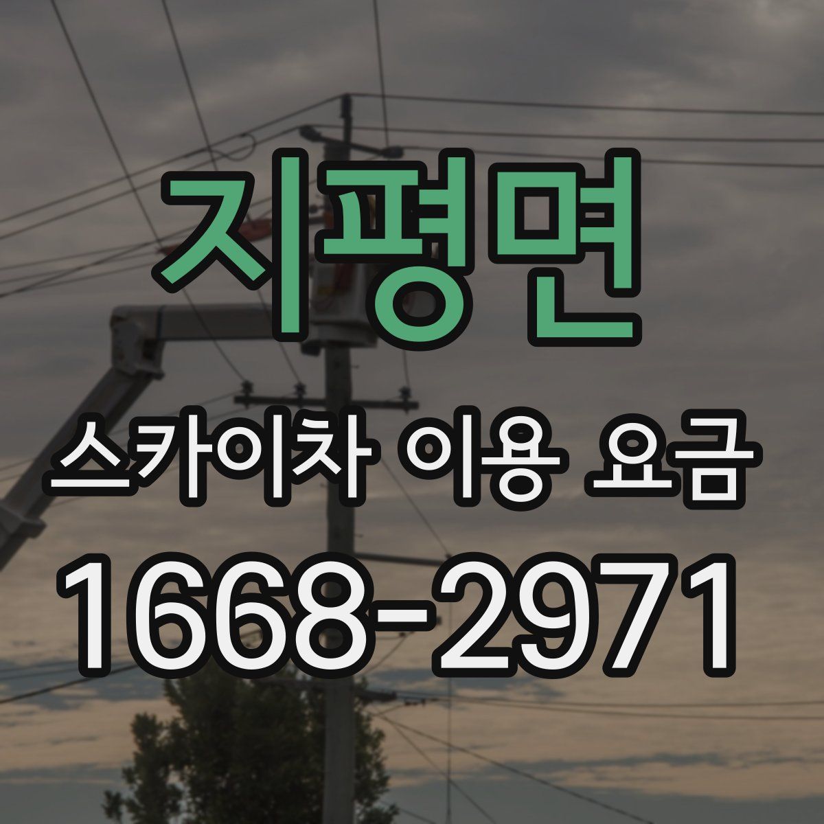 지평면 스카이차 이용 요금
