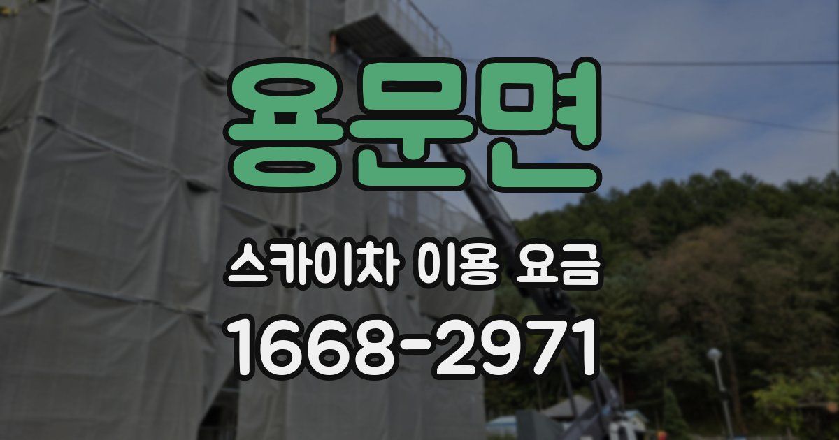 용문면 스카이차 이용 요금