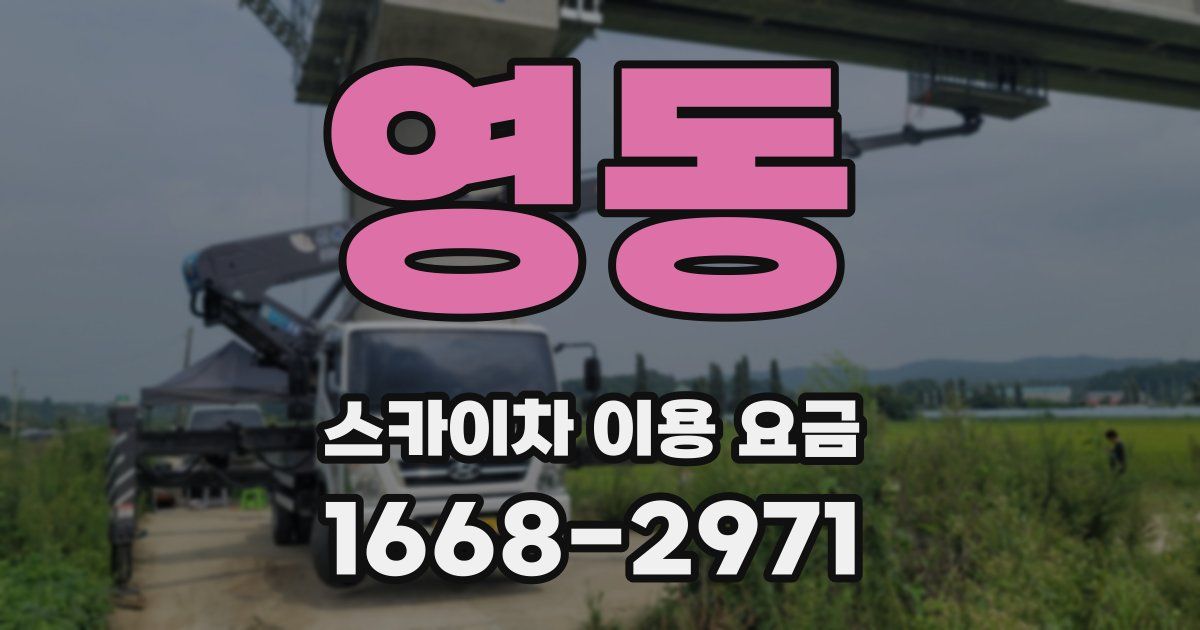 영동 스카이차 이용 요금