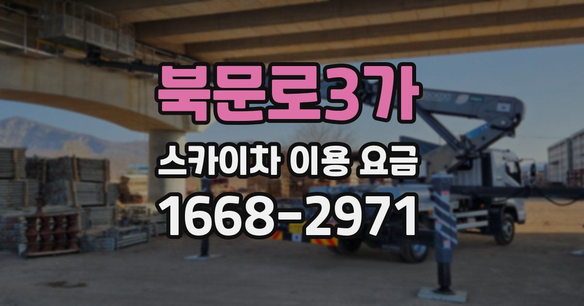 북문로3가 스카이차 이용 요금