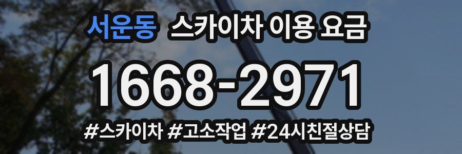 서운동 스카이차 이용 요금