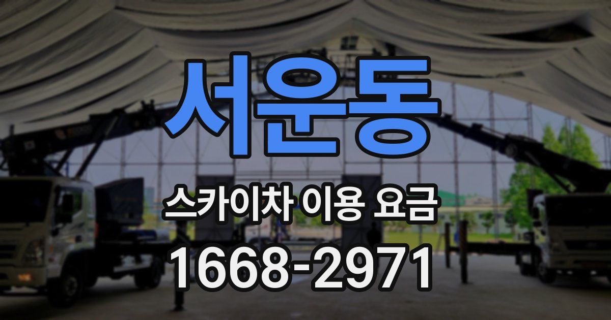 서운동 스카이차 이용 요금