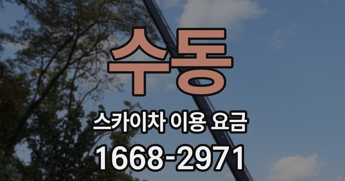 수동 스카이차 이용 요금