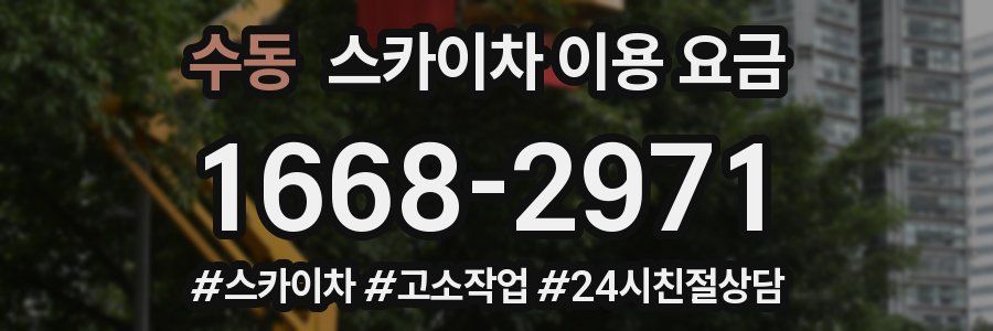 수동 스카이차 이용 요금