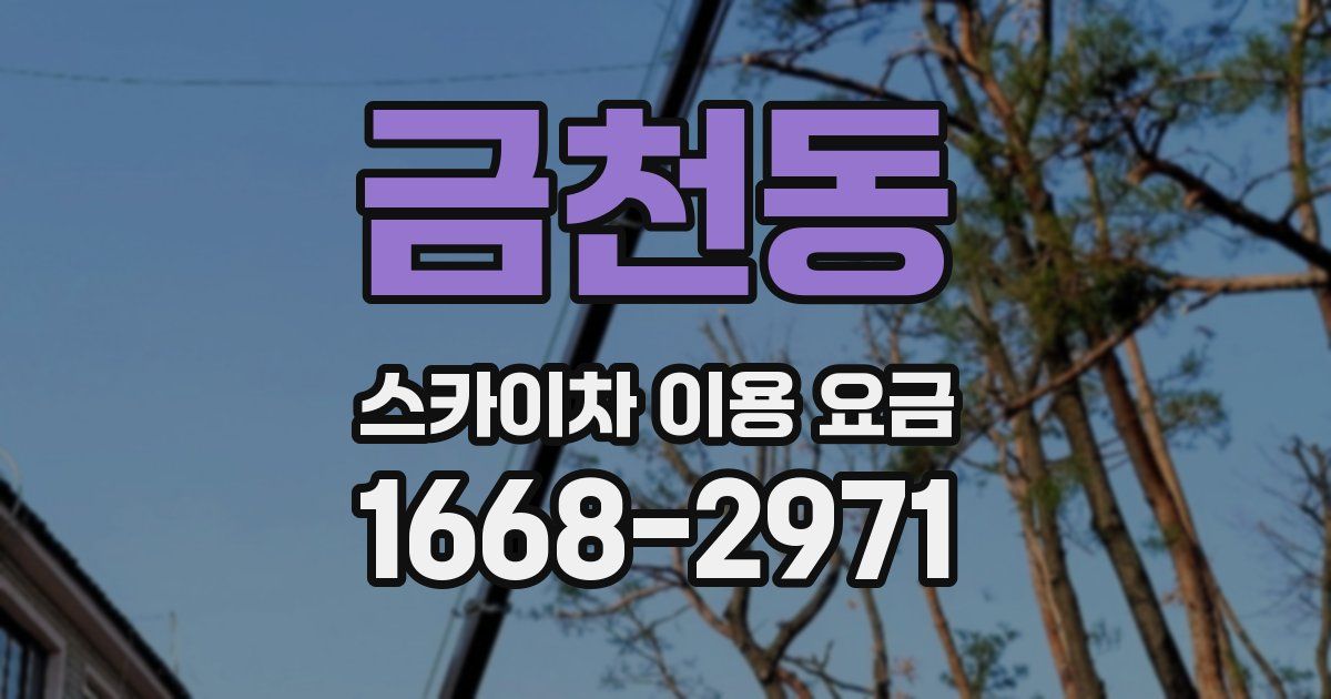 금천동 스카이차 이용 요금