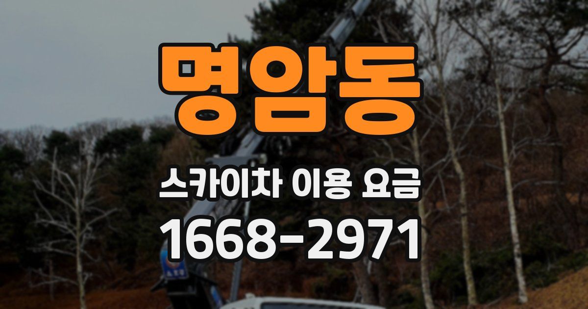 명암동 스카이차 이용 요금