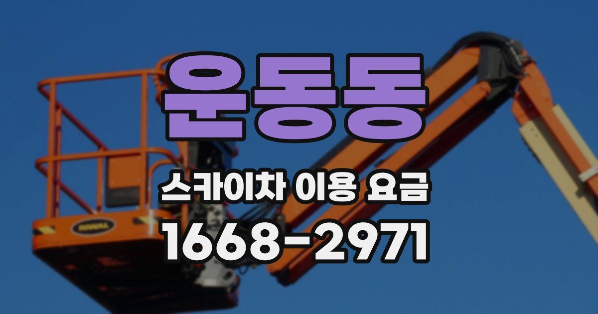 운동동 스카이차 이용 요금