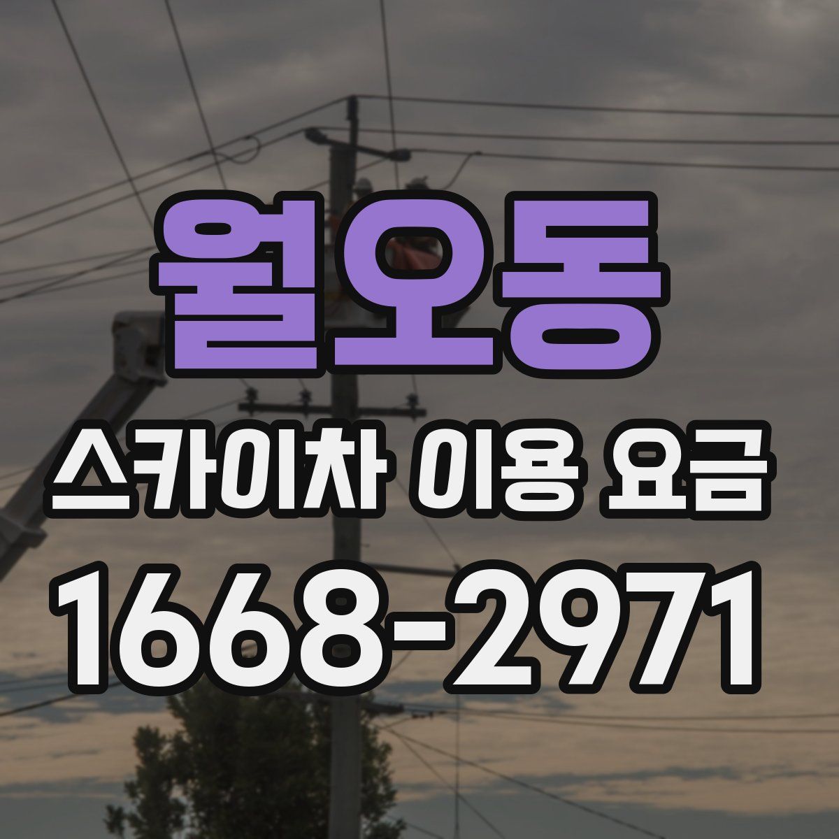 월오동 스카이차 이용 요금